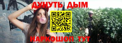 гидра Лесосибирск