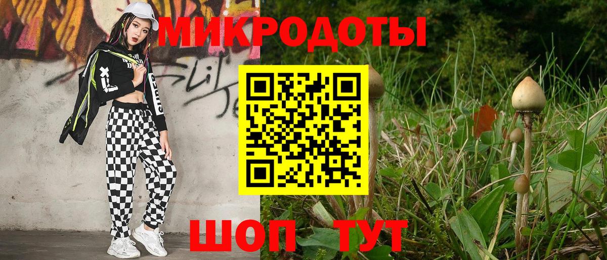 цены наркотик  Псилоцибиновые грибы ЛСД  Вход с VPN  Ковров 
